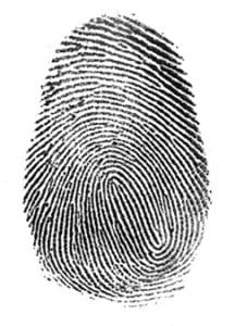 Criminal Record Removals - Fingerprint